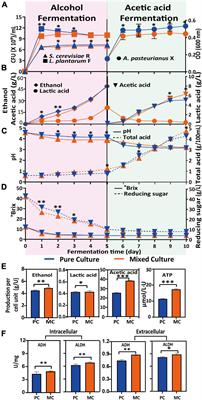 Metabolomic analysis of the effects of a mixed culture of Saccharomyces cerevisiae and Lactiplantibacillus plantarum on the physicochemical and quality characteristics of apple cider vinegar